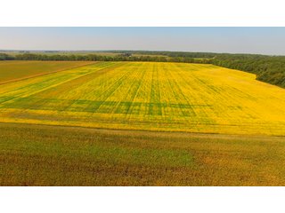 Property photo 9 - MAJOR ILLINOIS LAND AUCTION - 752.54+/- ACRES OFFERED IN 9 TRACTS IN KANKAKEE COUNTY, ILLINOIS